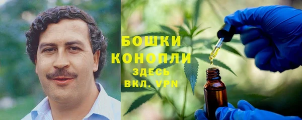 ешки Белокуриха