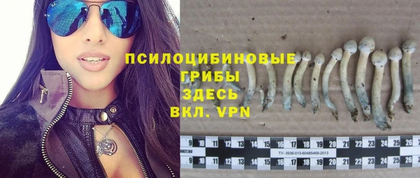 мяу мяу мука Белоозёрский