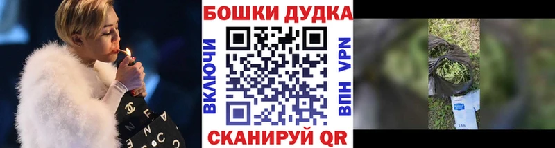 Купить закладки  Высоцк  Каннабис планчик 